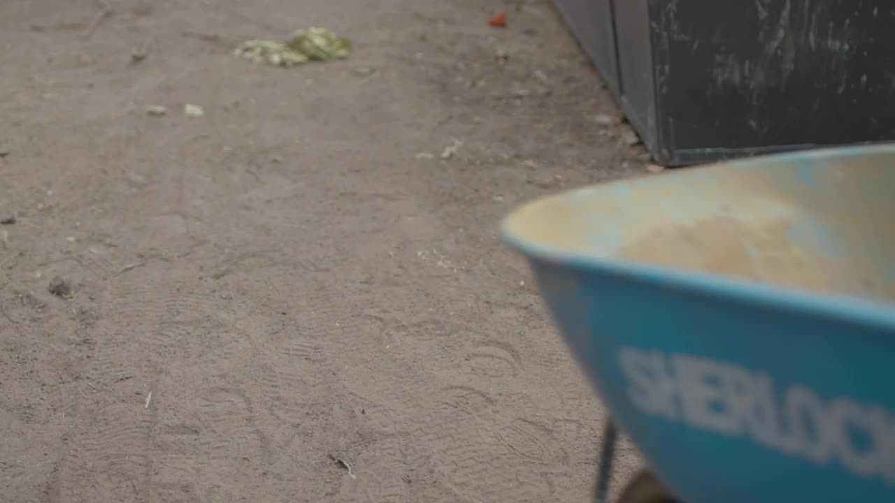 Stock Video A Person Pushes A Wheelbarrow Live Wallpaper For PC
