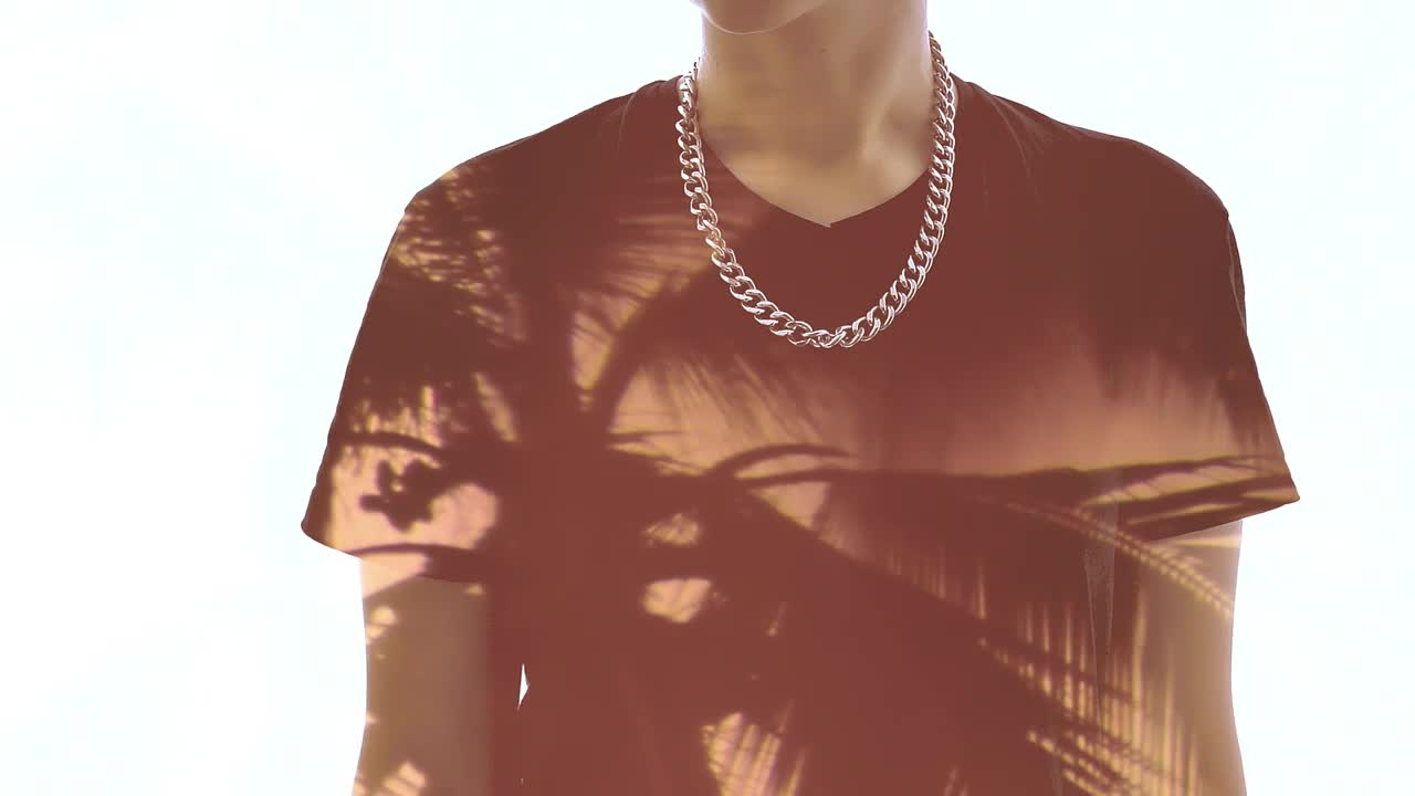 Stock Video A Person And The Silhouette Of A Palm Tree Live Wallpaper For PC