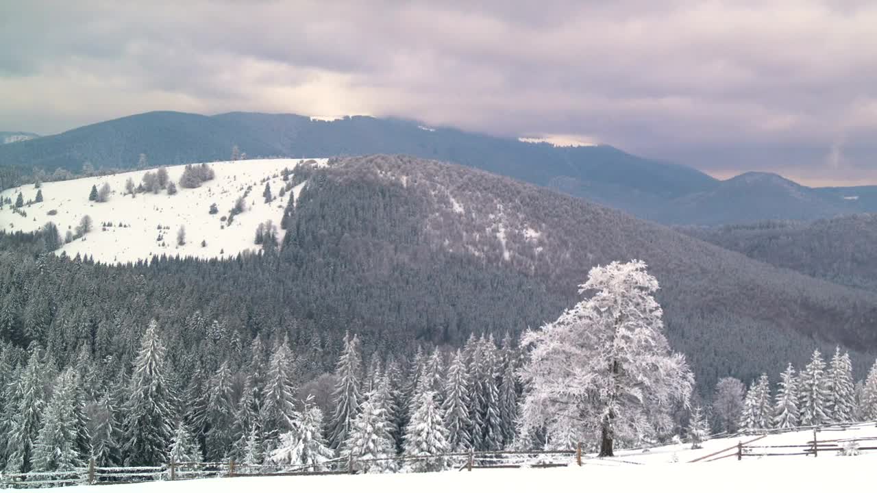 Stock Video A Mountain And A Forest Covered In Snow Live Wallpaper For PC