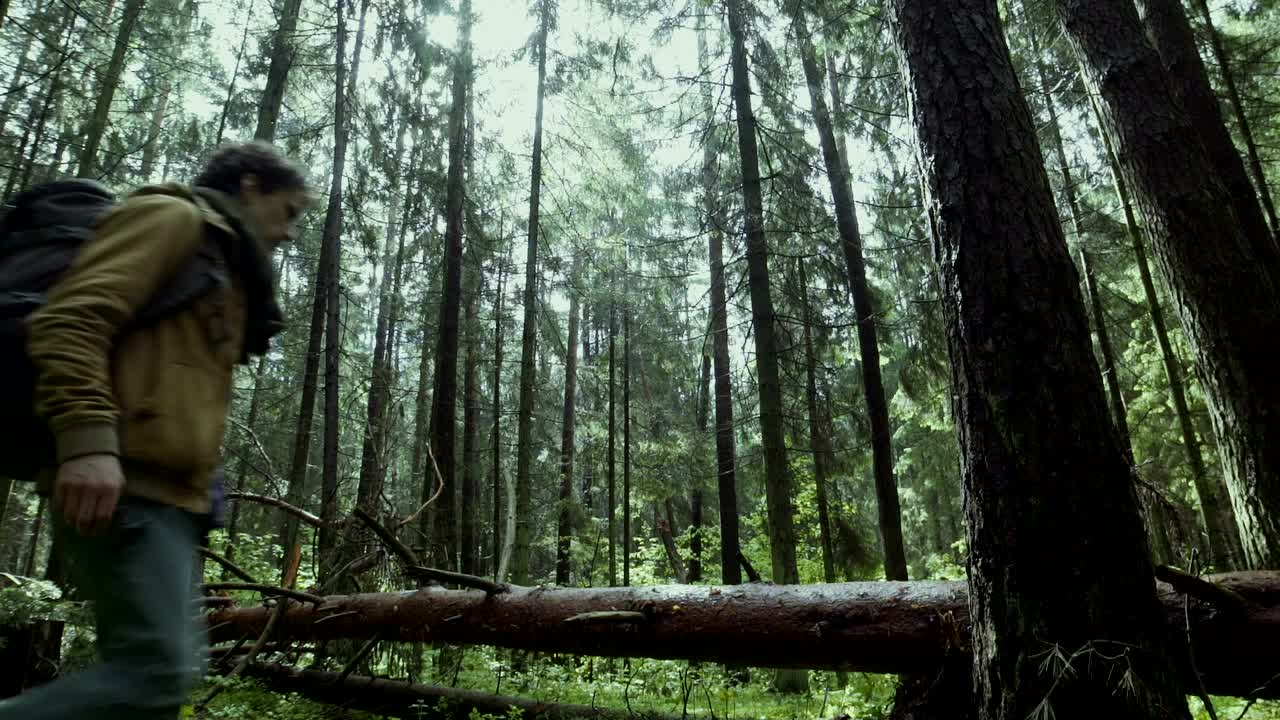 Stock Video A Man Walking On A Fallen Tree Live Wallpaper For PC