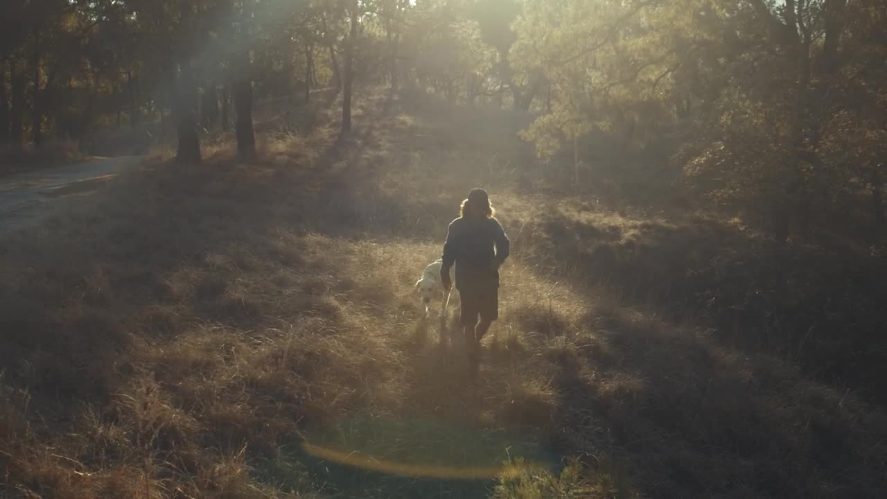 Stock Video A Man Walking His Dog In The Morning Live Wallpaper For PC