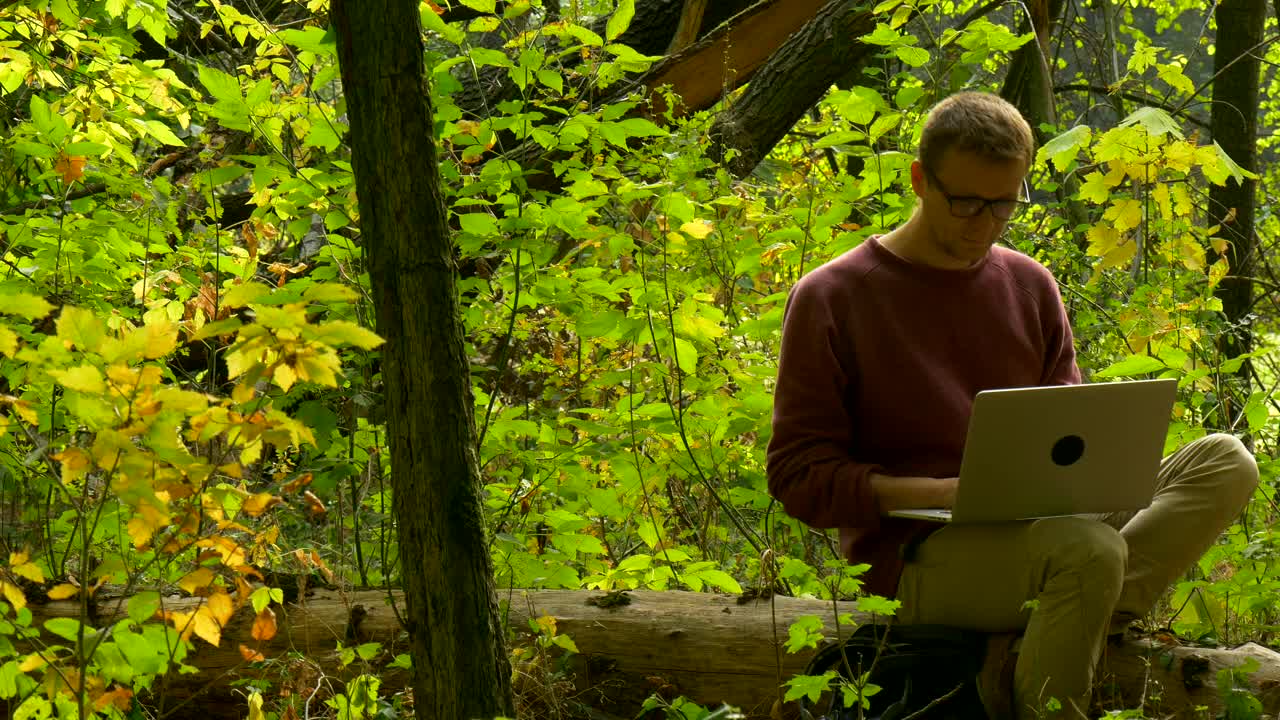 Stock Video A Man Sitting On A Log In The Forest Reading Live Wallpaper For PC