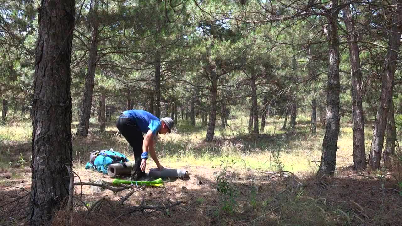 Stock Video A Man Setting Up A Camping Tent In The Woods Live Wallpaper For PC
