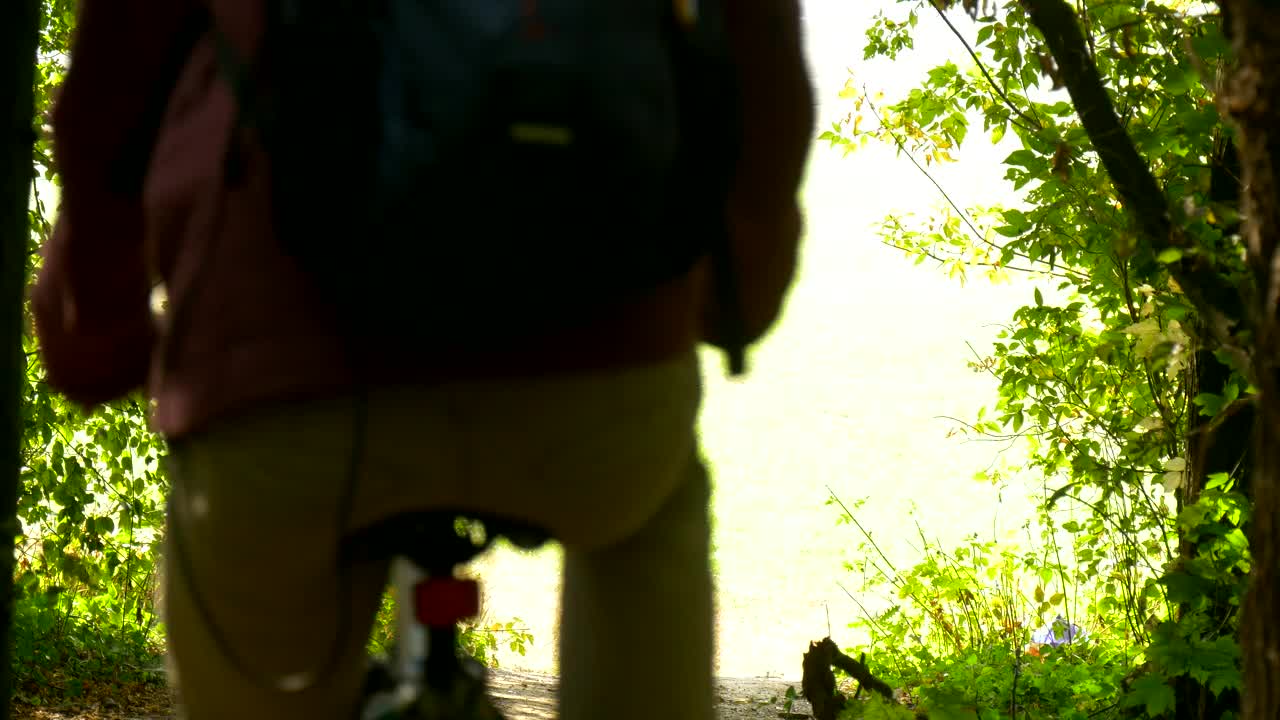 Stock Video A Man Riding His Bicycle Out Of The Woods Live Wallpaper For PC