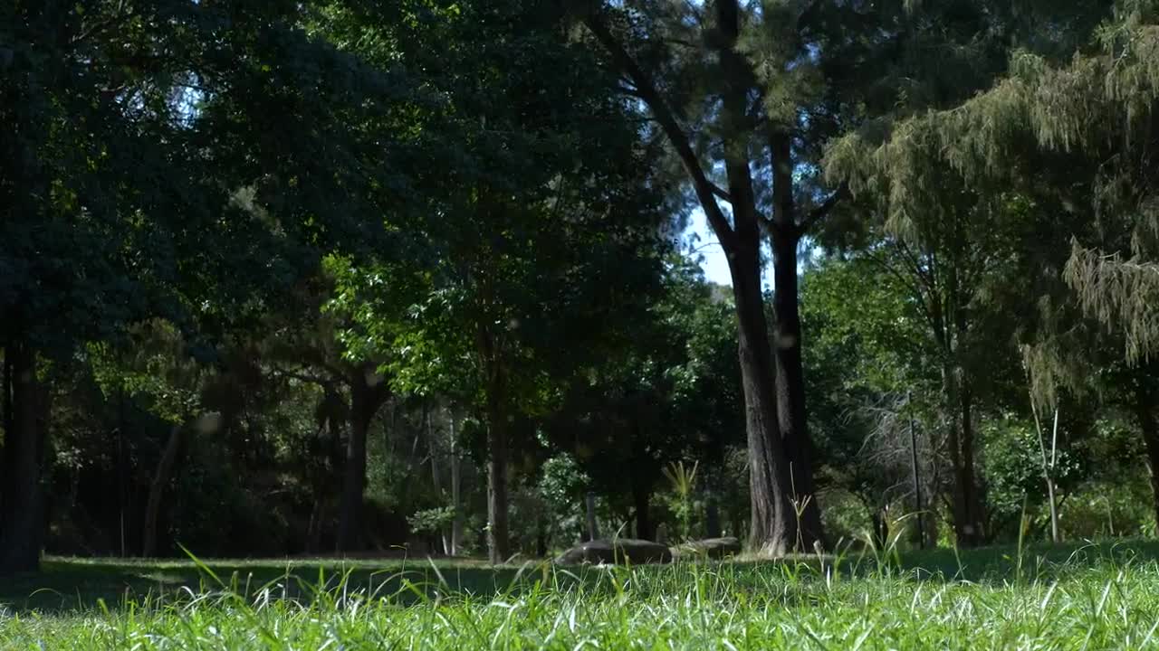 Stock Video A Man Riding His Bicycle At The Park Live Wallpaper For PC