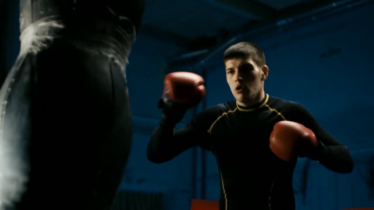 Stock Video A Man Hitting The Punching Back In The Gym Live Wallpaper For PC