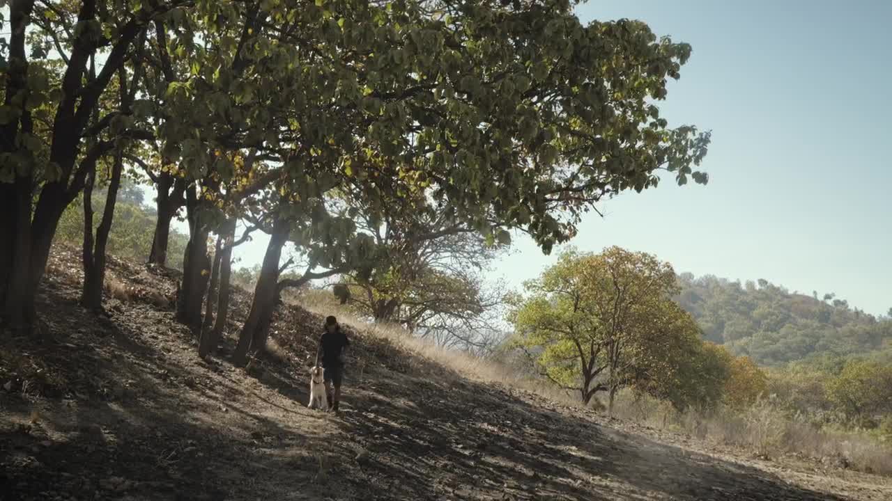 Stock Video A Man And His Dog Walking In A Forest On Live Wallpaper For PC