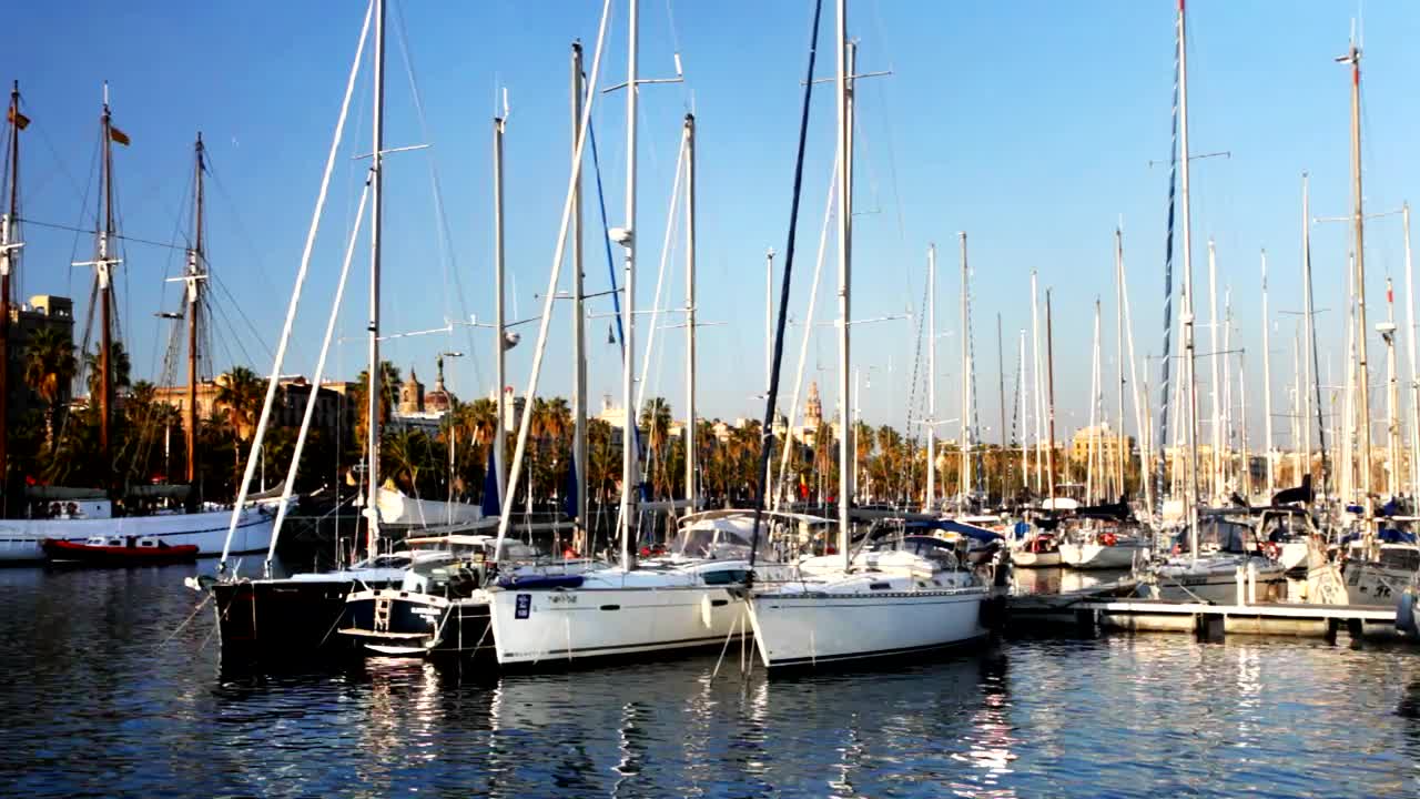 Stock Video A Lot Of Sailboats Of A Port Live Wallpaper For PC