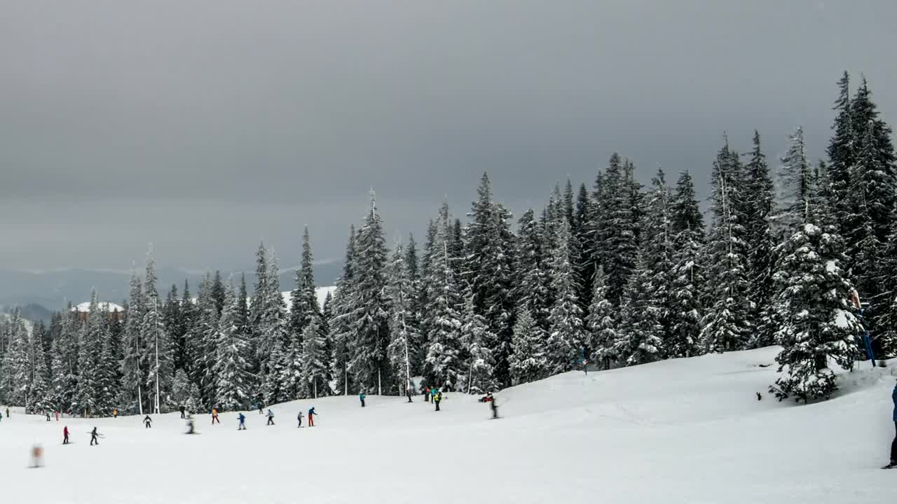 Stock Video A Lot Of People Snowboarding In A Winter Forest Live Wallpaper For PC