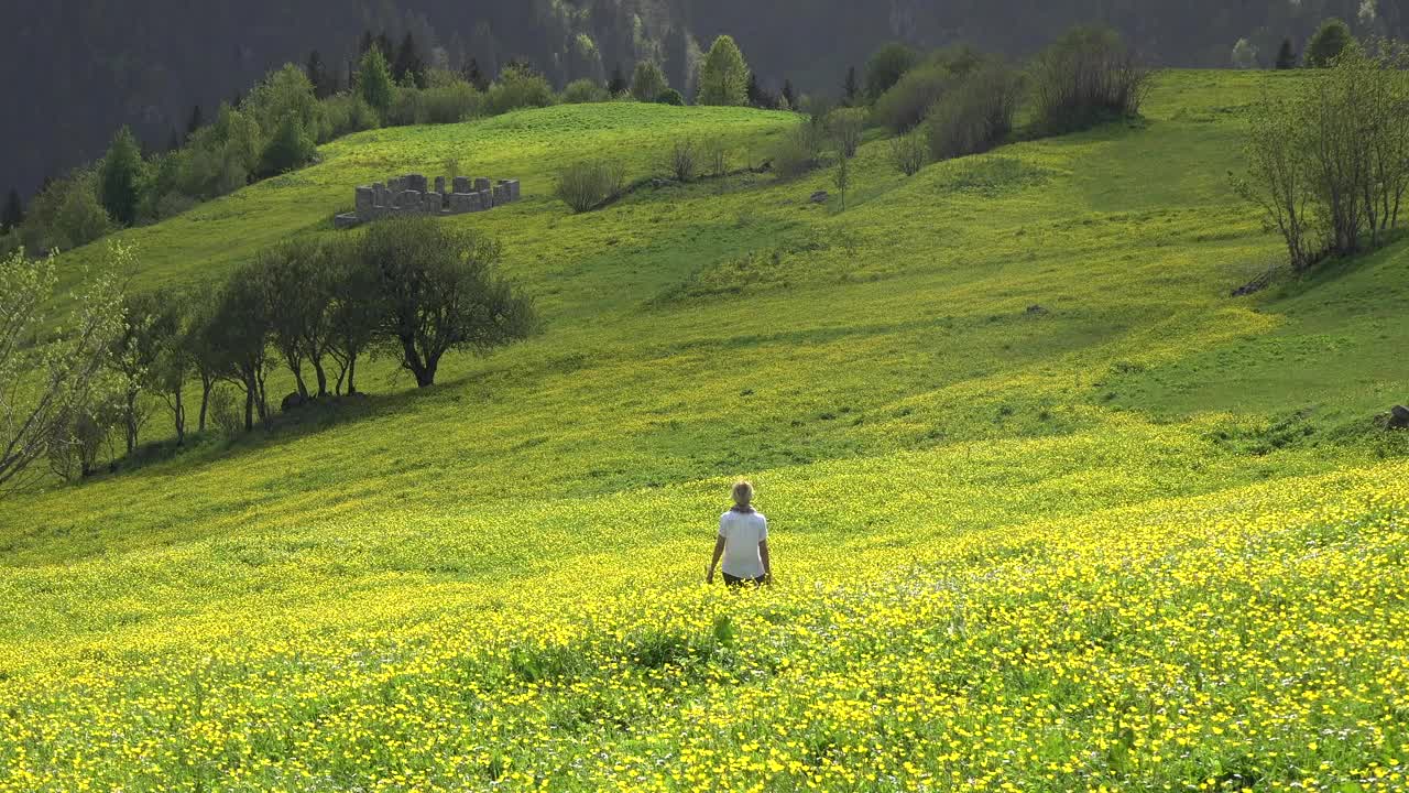 Stock Video A Lonely Woman Walk In A Green Valley Live Wallpaper For PC