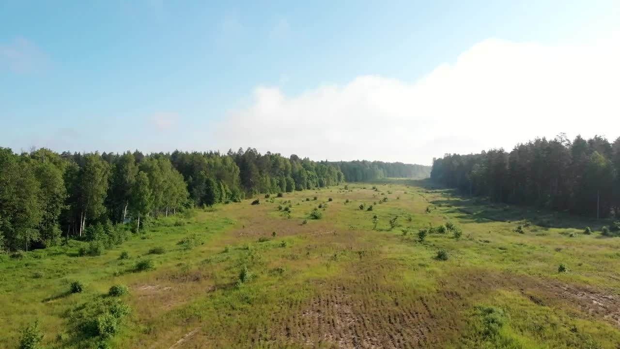 Stock Video A Large Valley Surrounded By Forest Live Wallpaper For PC