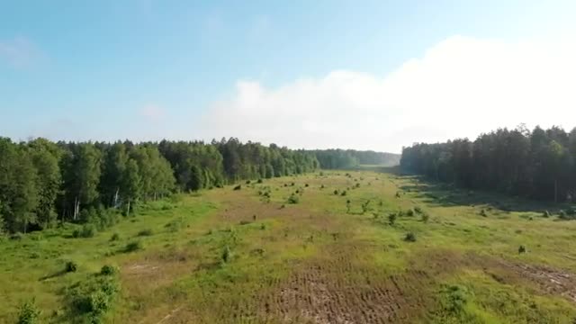 Stock Video A Large Valley Surrounded By Forest  Smal Live Wallpaper For PC