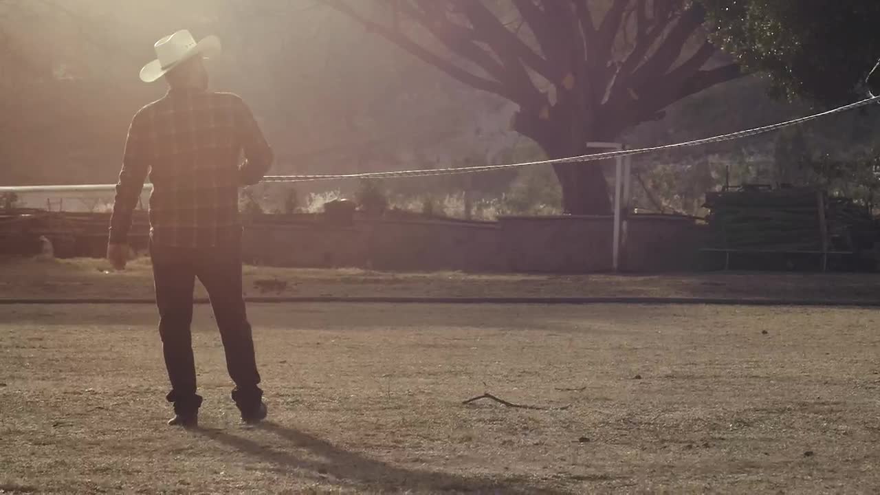 Stock Video A Horse Being Trained By Its Owner Live Wallpaper For PC