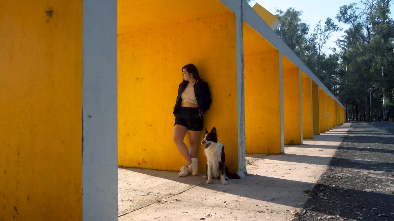Stock Video A Girl And A Dog Standing In Front Of A Live Wallpaper For PC