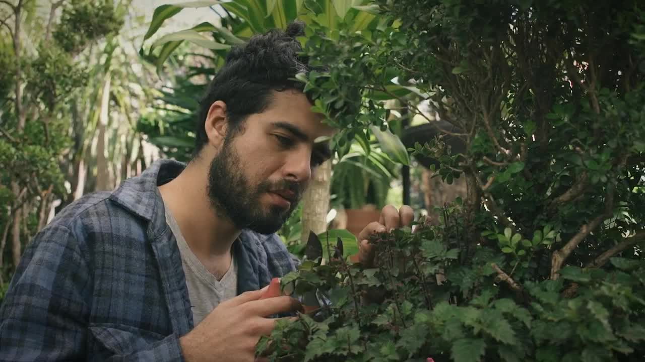 Stock Video A Gardener Cutting Leaves Live Wallpaper For PC