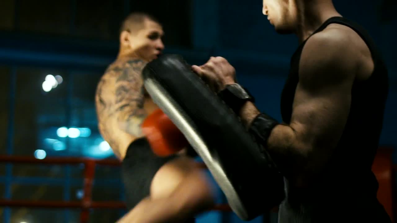 Stock Video A Fighter Training The Kicks On The Ring Live Wallpaper For PC