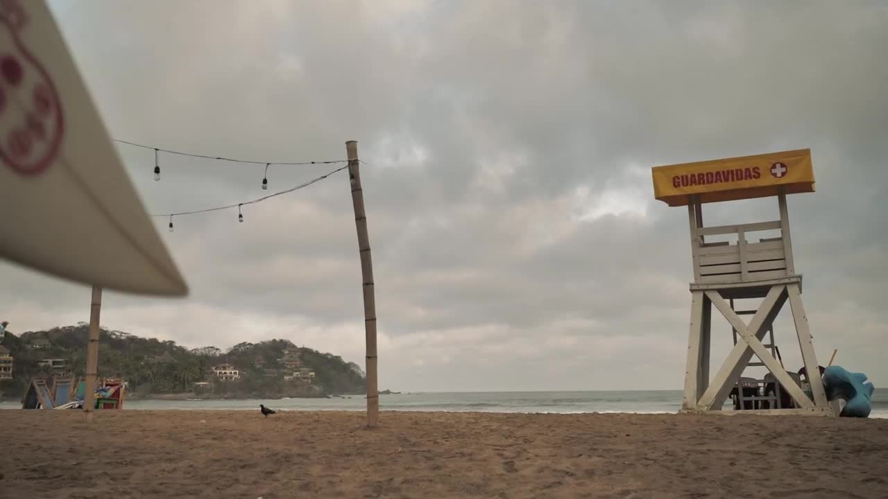 Stock Video A Female Surfer At The Beach Live Wallpaper For PC