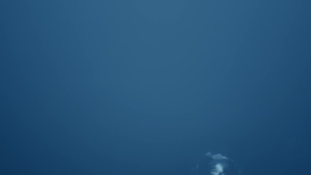 Stock Video Bubbles Rising To The Top Live Wallpaper For PC