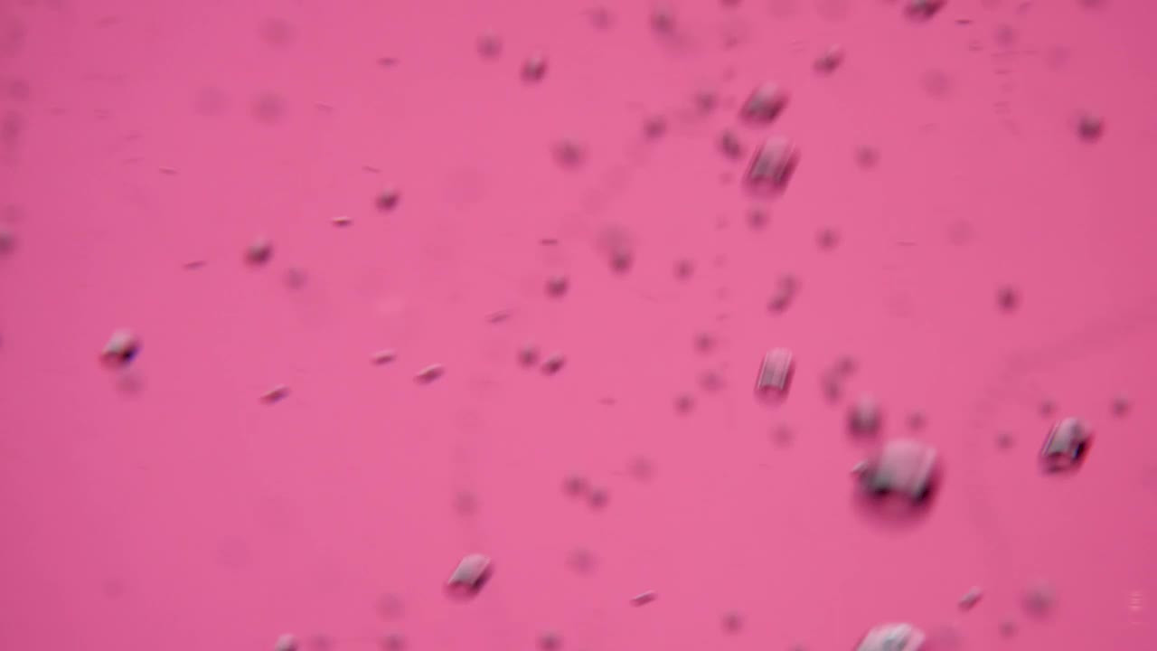 Stock Video Bubbles On A Pink Background Live Wallpaper For PC