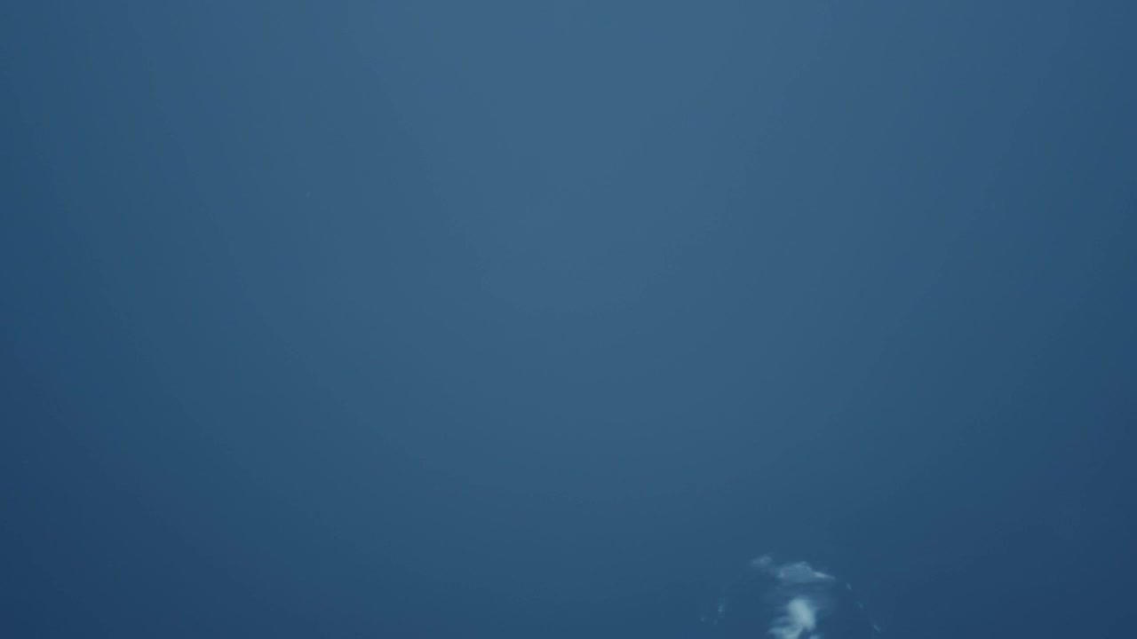 Stock Video Bubbles Breaking The Surface Live Wallpaper For PC