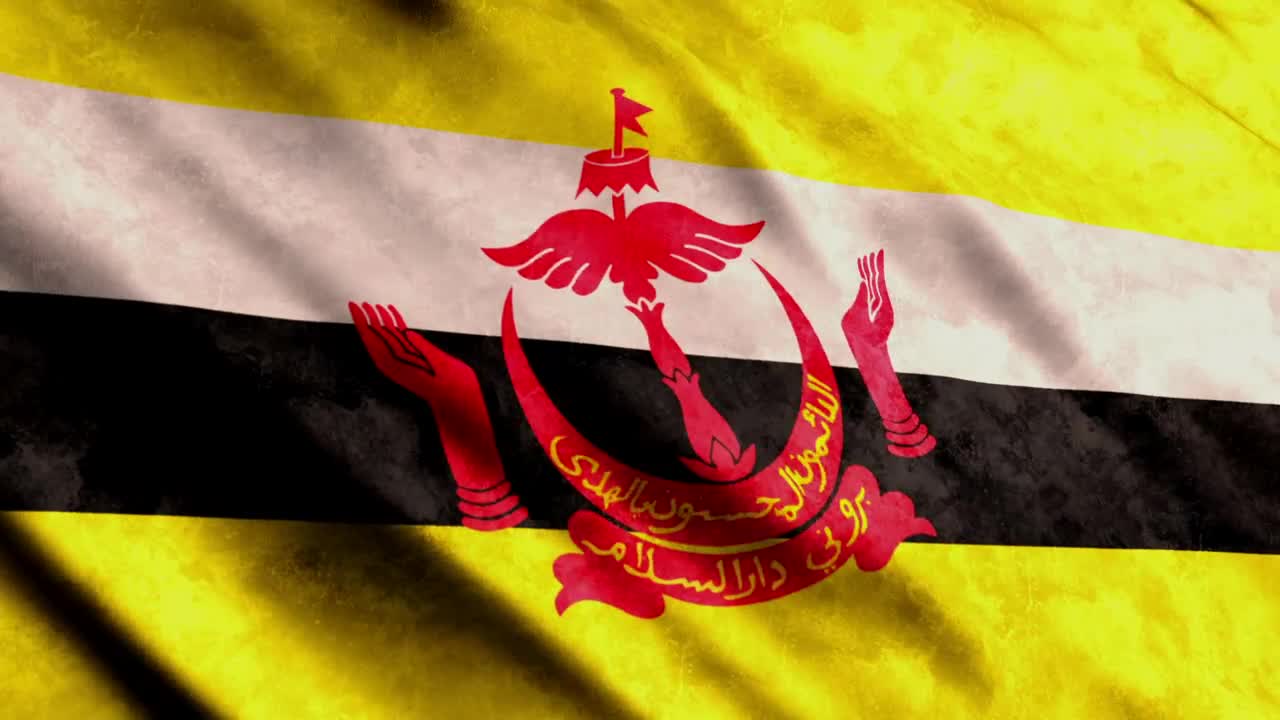 Stock Video Brunei Flag Full Screen Live Wallpaper For PC
