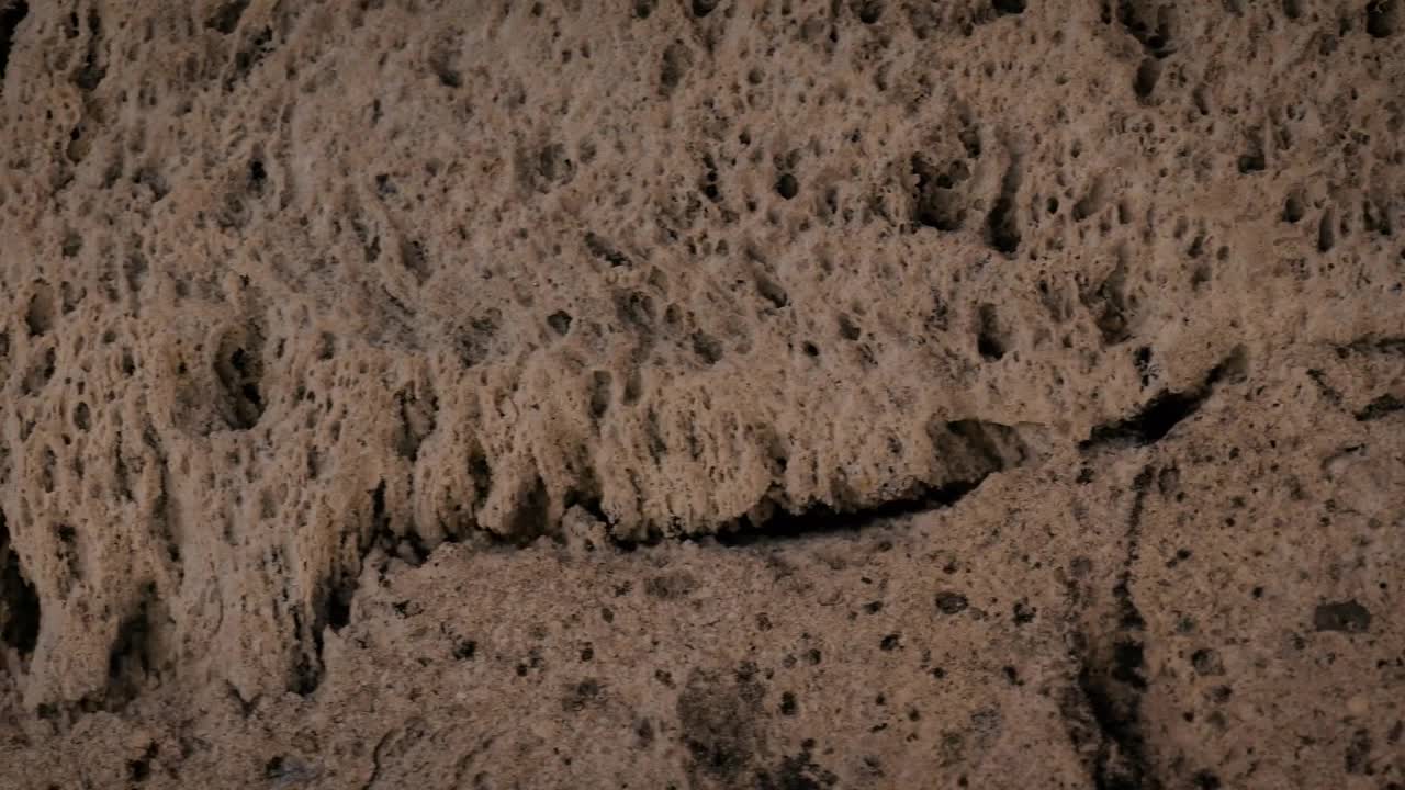 Stock Video Brown Rocky Surface With A Porous Texture Live Wallpaper For PC