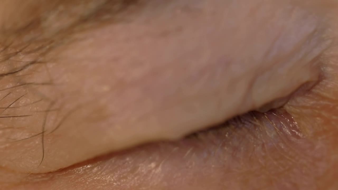 Stock Video Brown Eyes Opening Live Wallpaper For PC