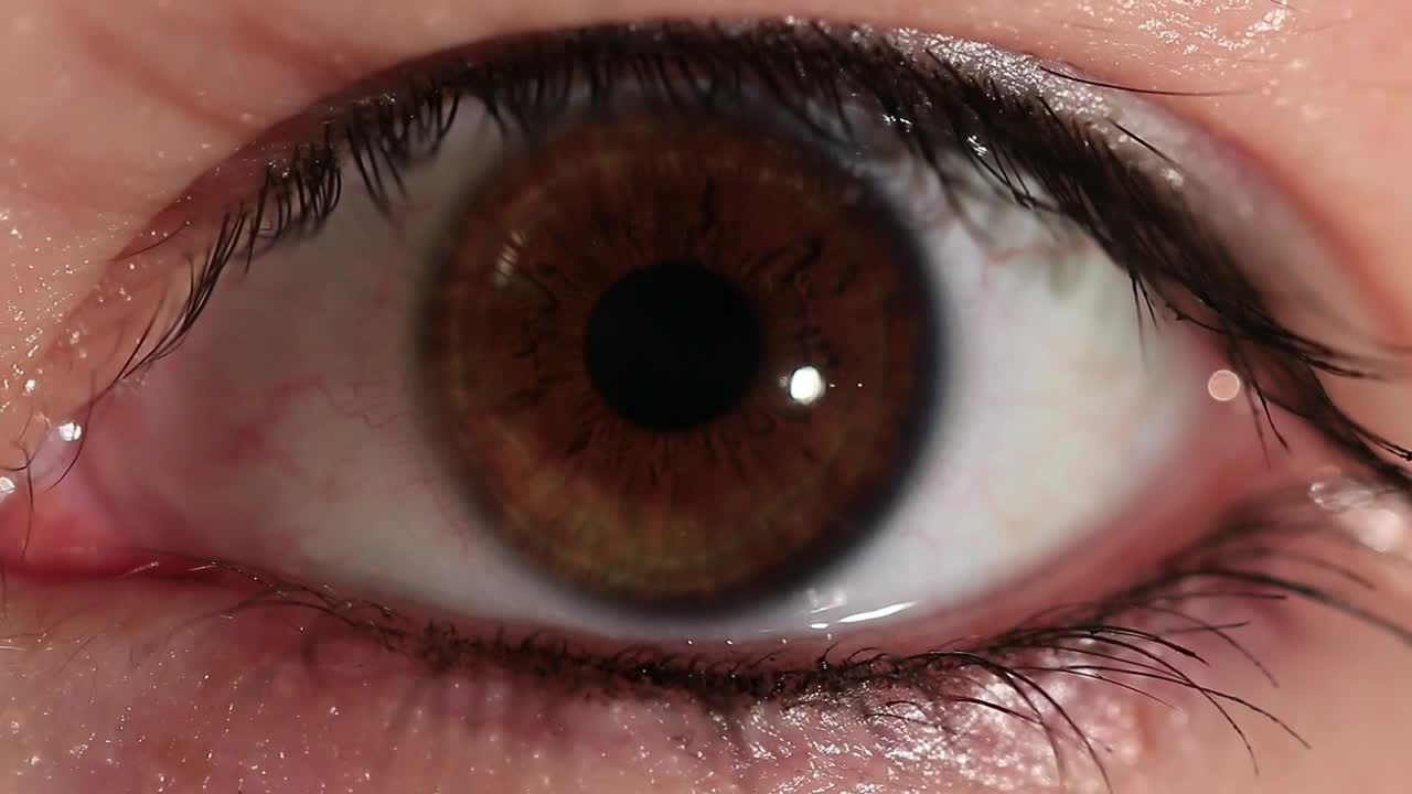 Stock Video Brown Eye Closeup Live Wallpaper For PC