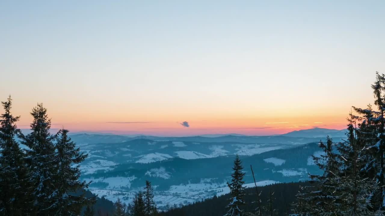 Stock Video Bright Sun Rising Over The Skyline In The Forest Live Wallpaper For PC