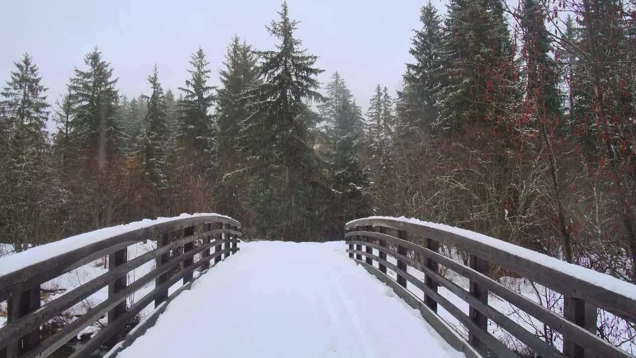 Stock Video Bridge Covering Of Snow In A Forest Live Wallpaper For PC