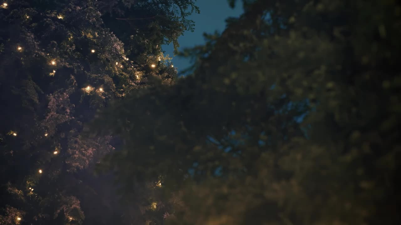 Stock Video Branches Of A Pine Decorated With Christmas Lights Live Wallpaper For PC