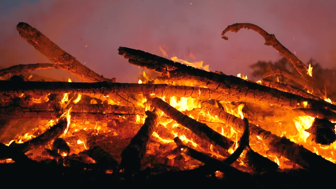 Stock Video Branches Burning At Night Live Wallpaper For PC