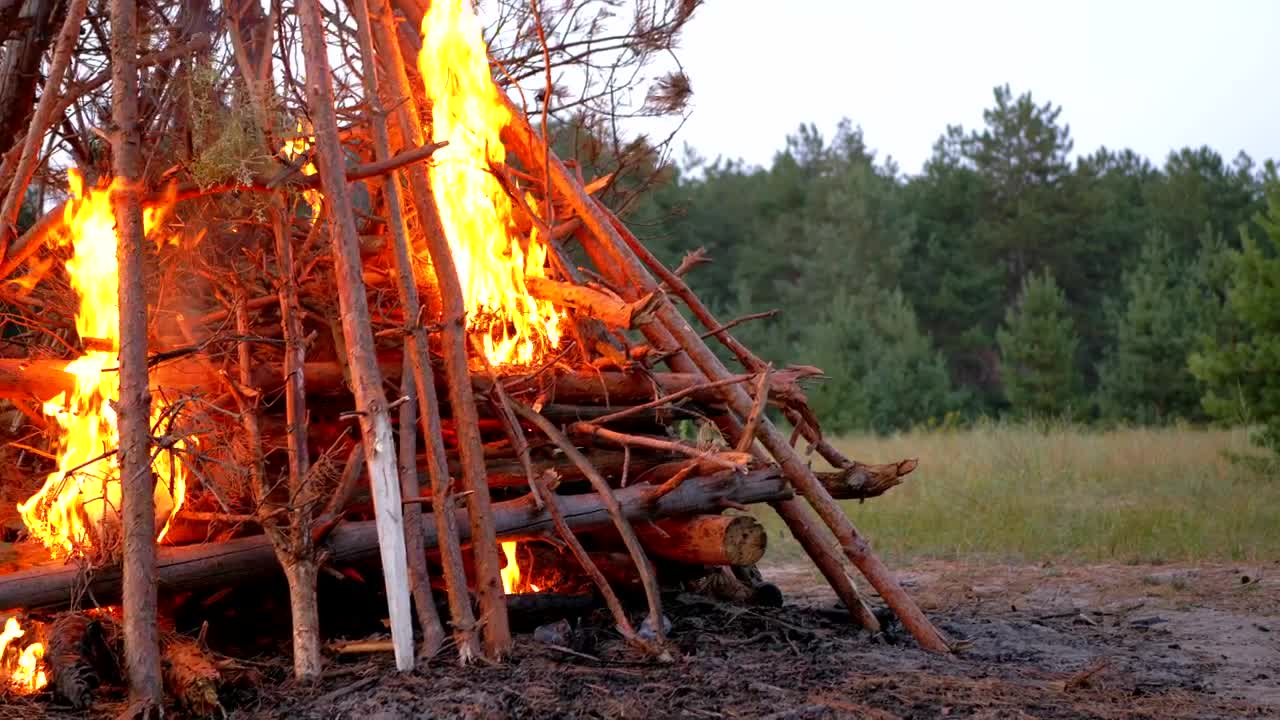 Stock Video Branches And Logs Burning In The Forest Live Wallpaper For PC