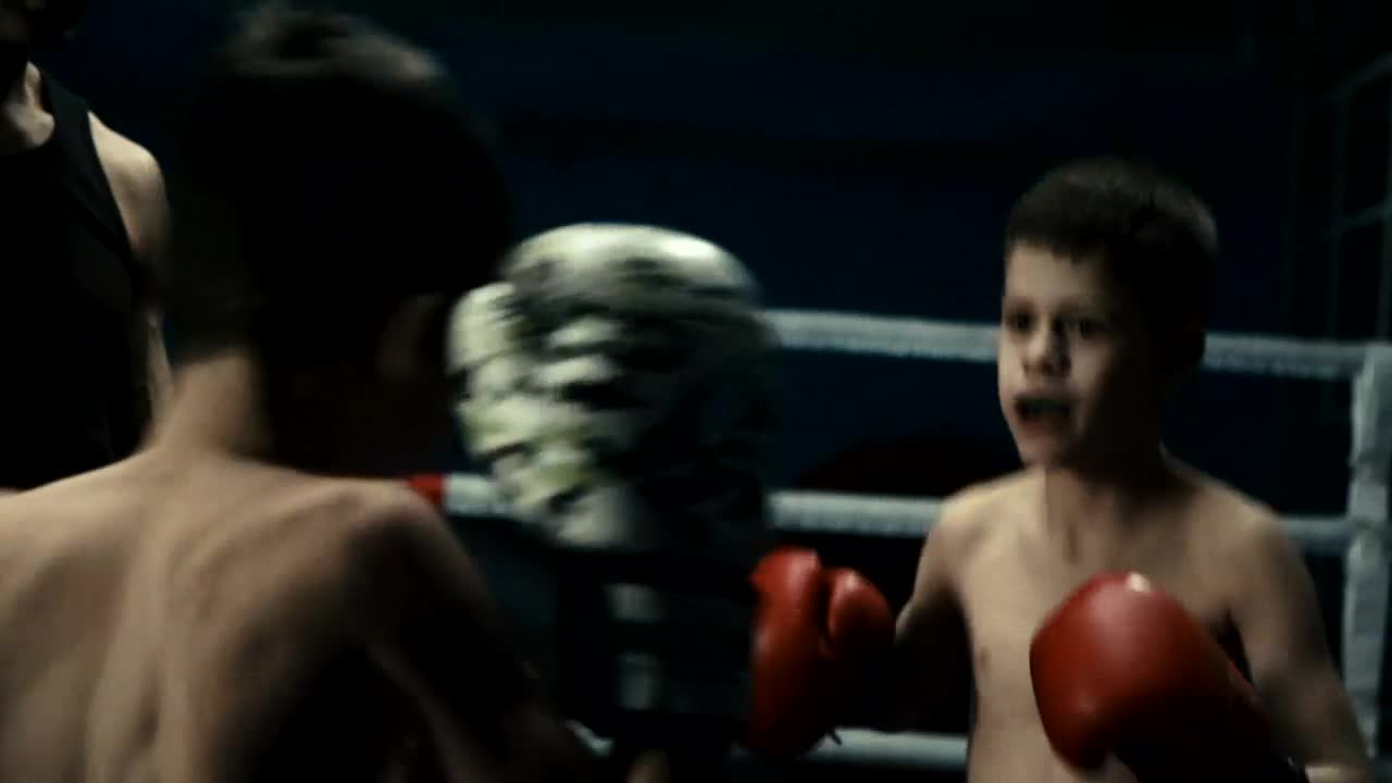 Stock Video Boys Training Boxing With Instructor Live Wallpaper For PC