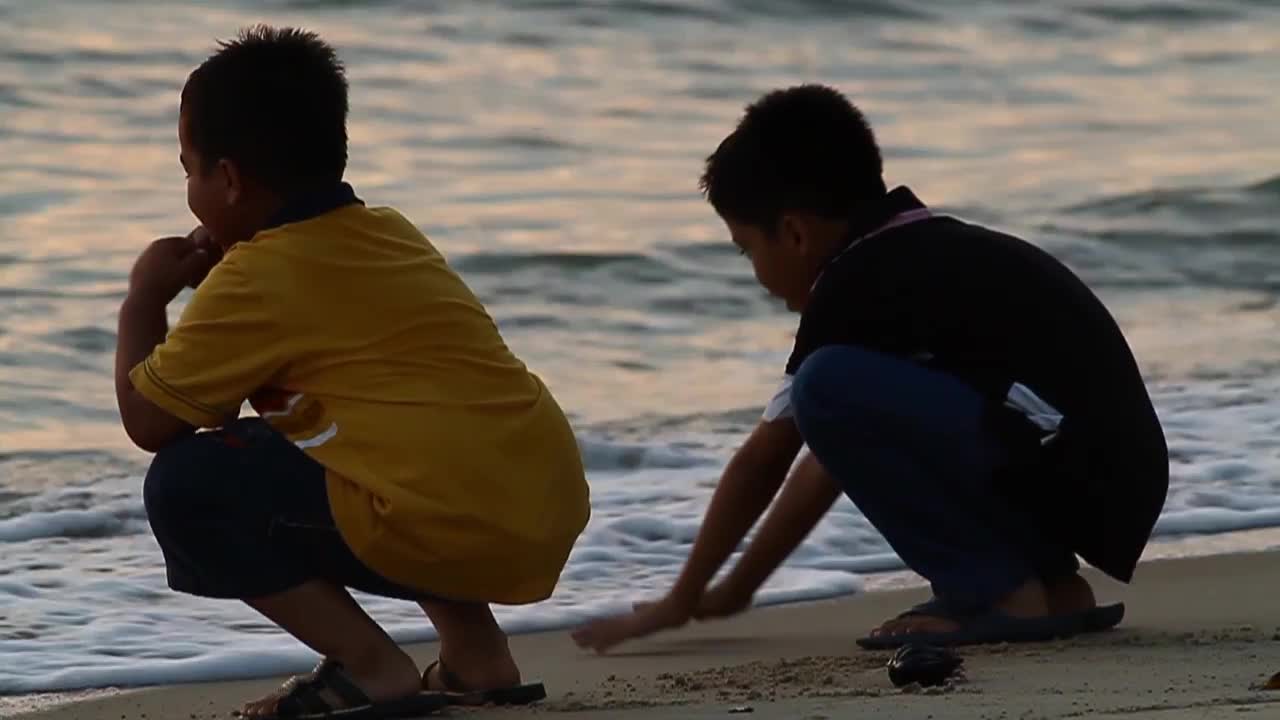 Stock Video Boys At The Beach During Sunset Live Wallpaper For PC