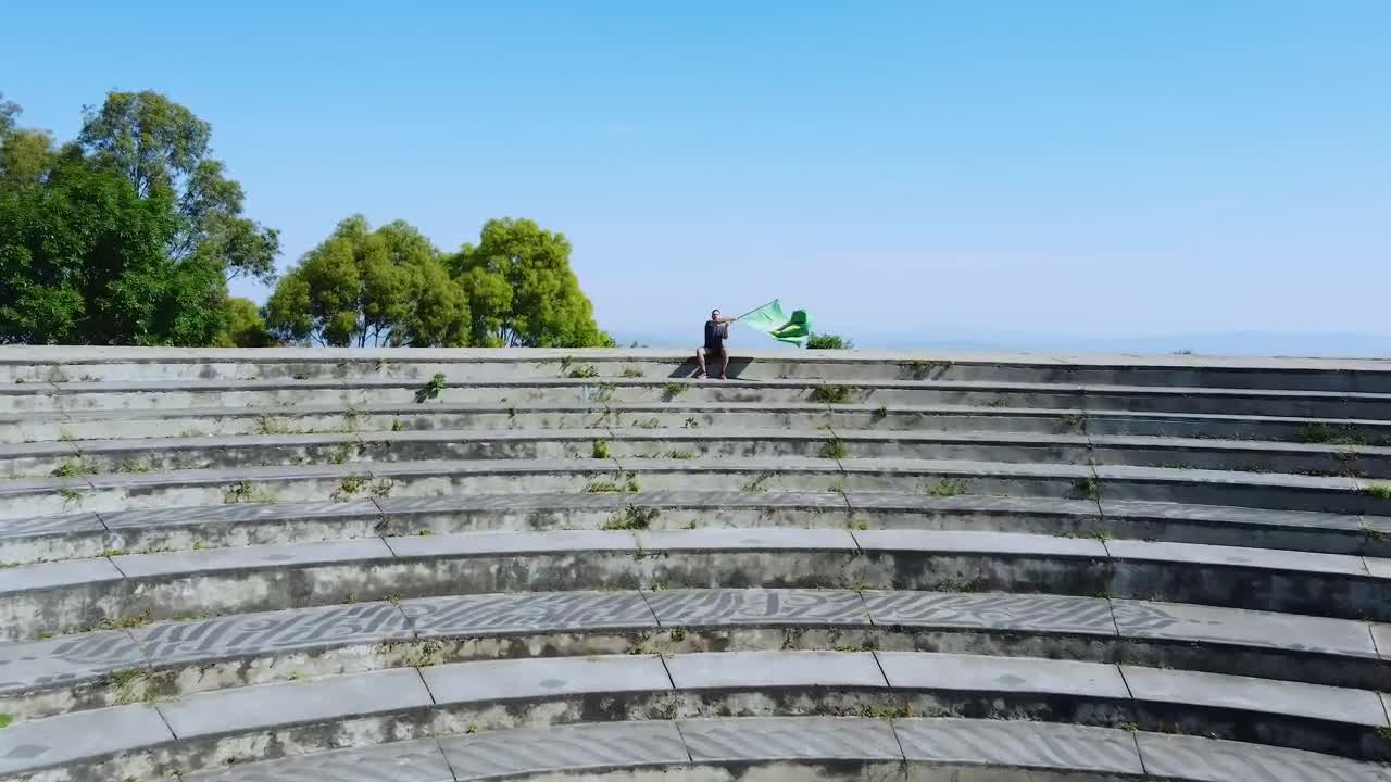 Stock Video Boy Waving The Brazilian Flag Outdoors Live Wallpaper For PC