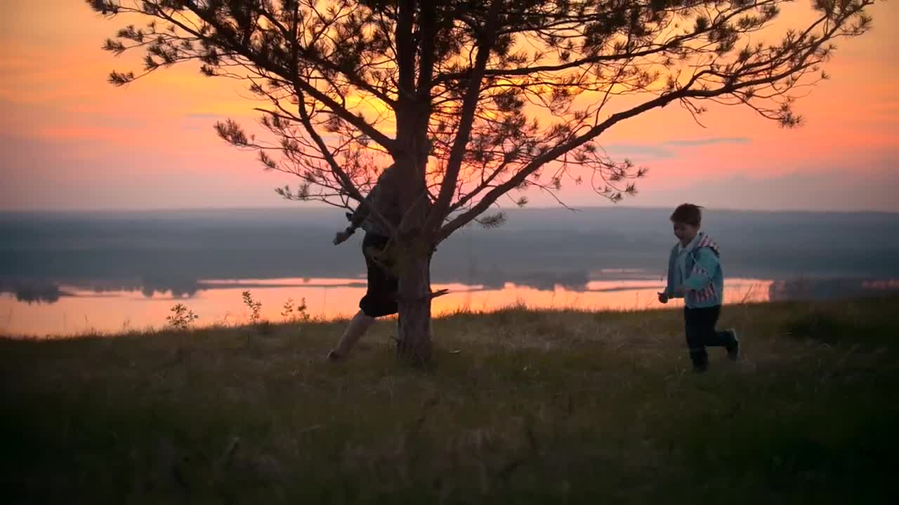 Stock Video Boy Playing With His Grandmother Around A Tree Live Wallpaper For PC