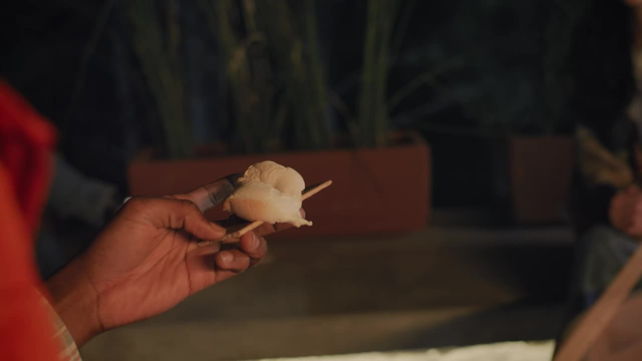 Stock Video Boy Eating Marshmallows With His Friends At A Campfire Live Wallpaper For PC