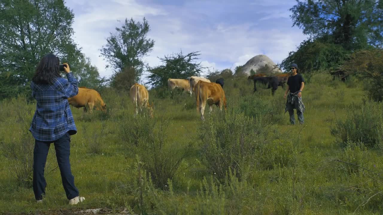 Stock Video Boy And Girl Taking Photos In A Meadow With Cows Live Wallpaper For PC