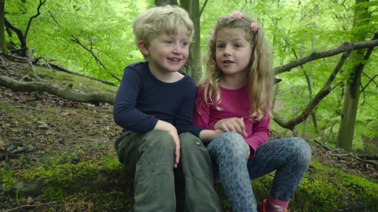 Stock Video Boy And Girl In The Forest Live Wallpaper For PC