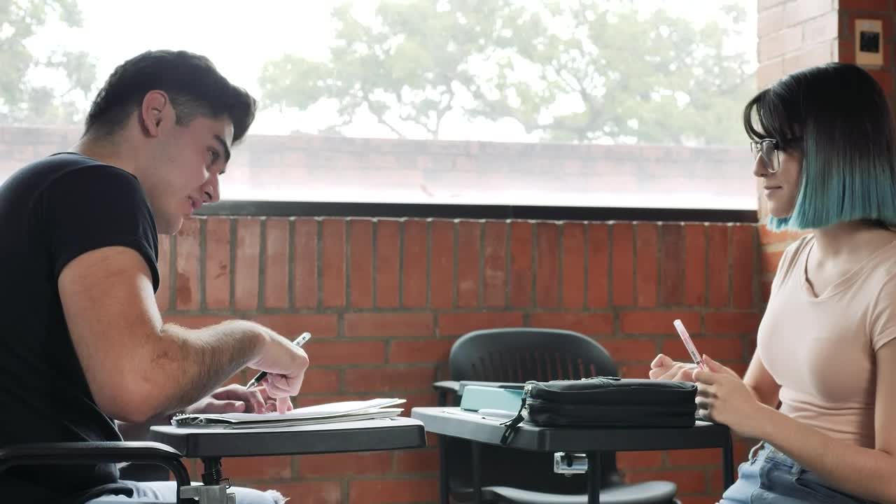 Stock Video Boy And Girl Classmates Studying Together Live Wallpaper For PC
