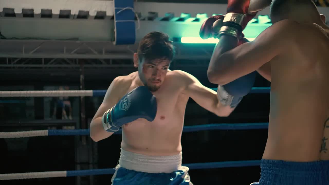 Stock Video Boxers Hitting In A Fight Live Wallpaper For PC