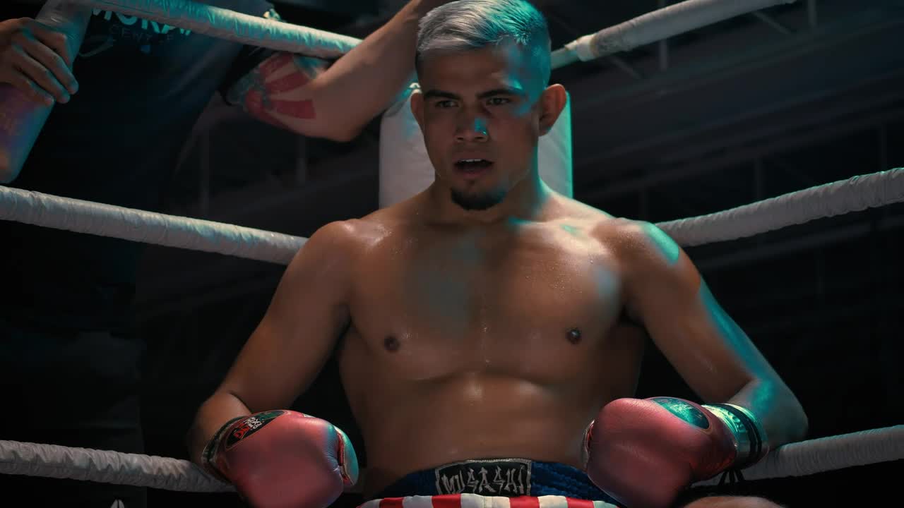 Stock Video Boxer Waiting For His Next Round Live Wallpaper For PC