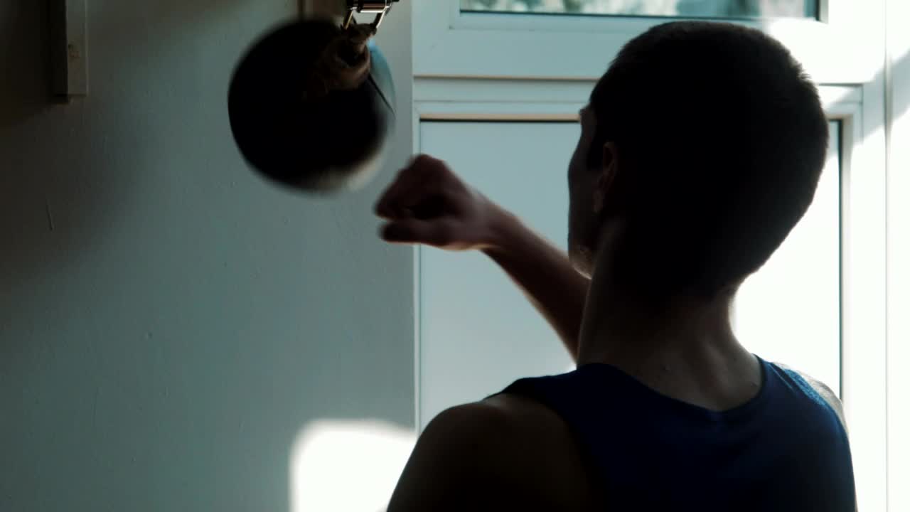 Stock Video Boxer Training With Speed Punching Bag Live Wallpaper For PC