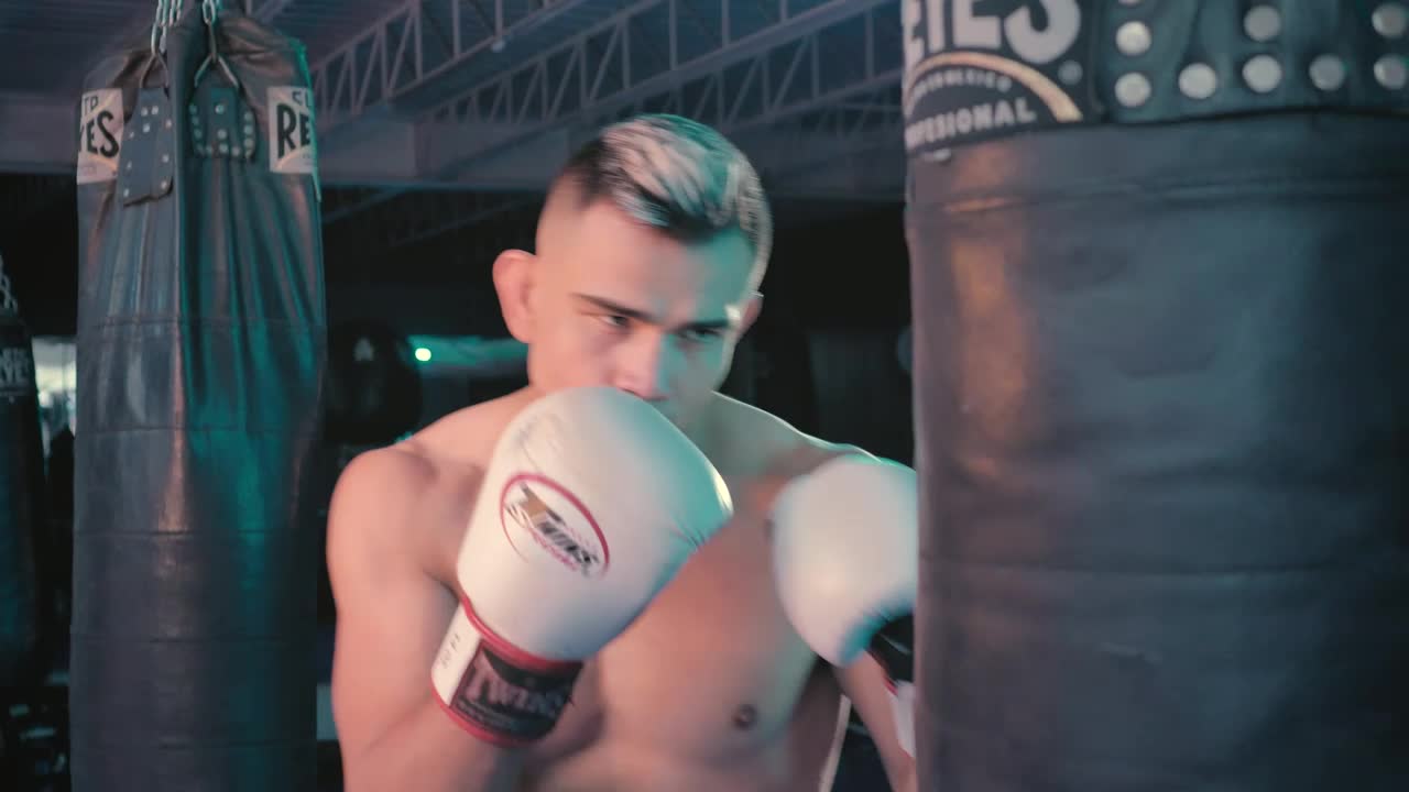 Stock Video Boxer Training With A Punching Bag At The Gym Live Wallpaper For PC