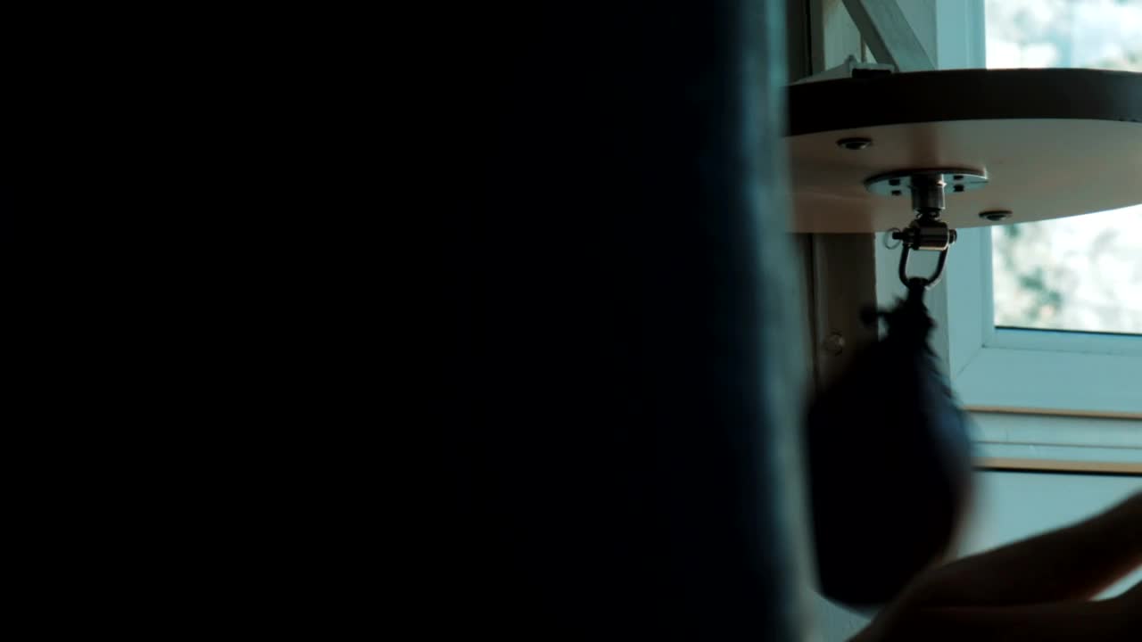 Stock Video Boxer Training With Fast Punching Bag Live Wallpaper For PC