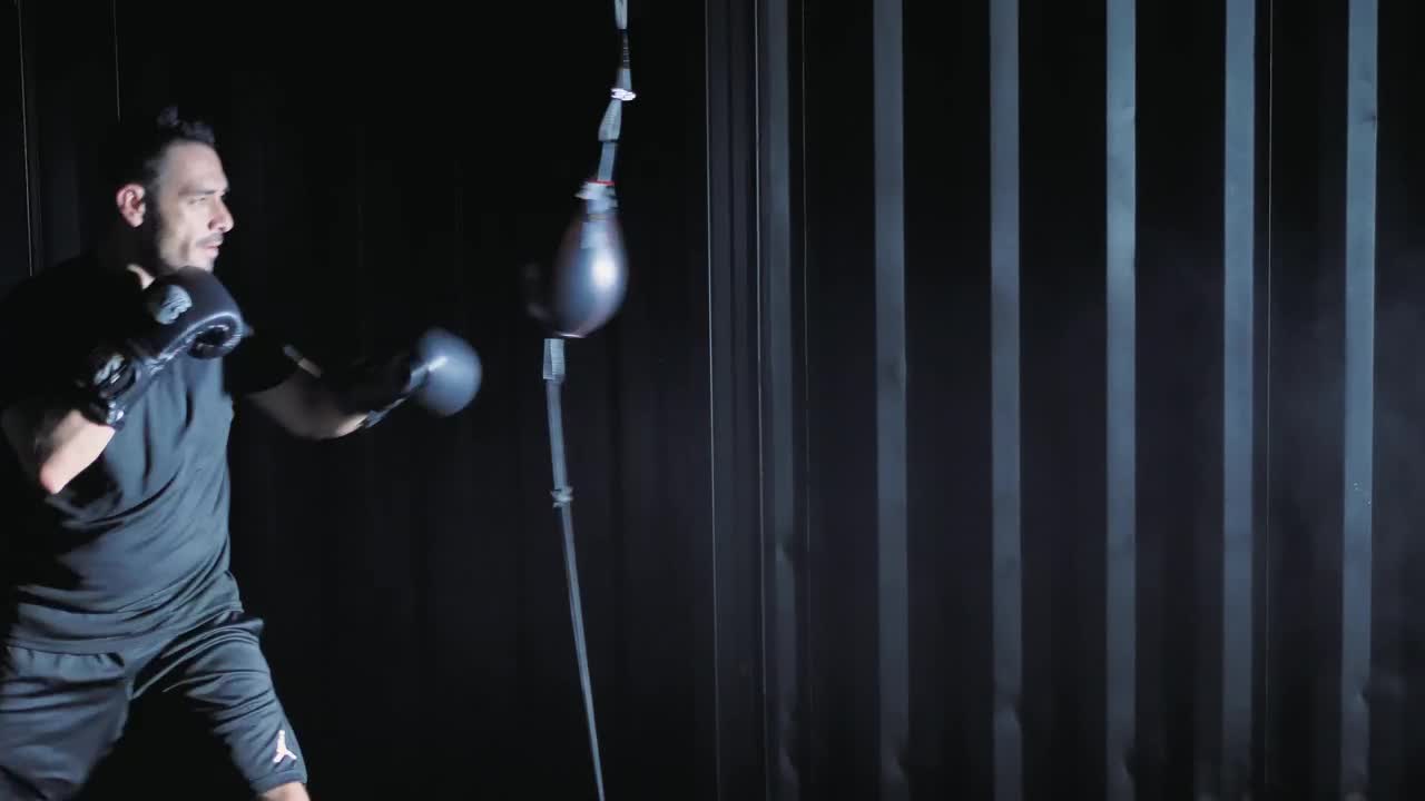 Stock Video Boxer Training With A Punch Ball Live Wallpaper For PC