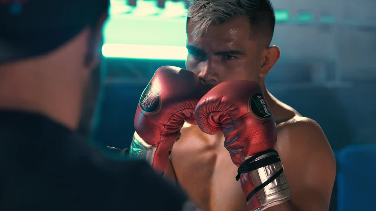 Stock Video Boxer Training In The Ring Live Wallpaper For PC