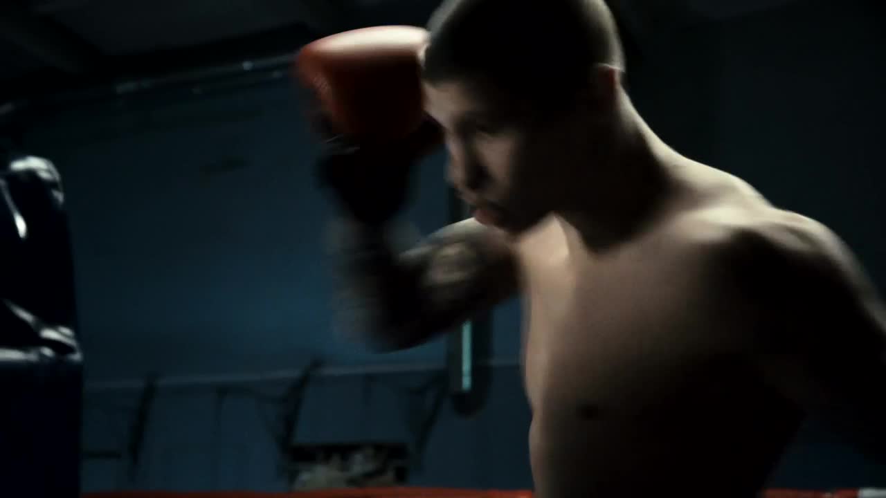 Stock Video Boxer Training Hard At The Gym Live Wallpaper For PC