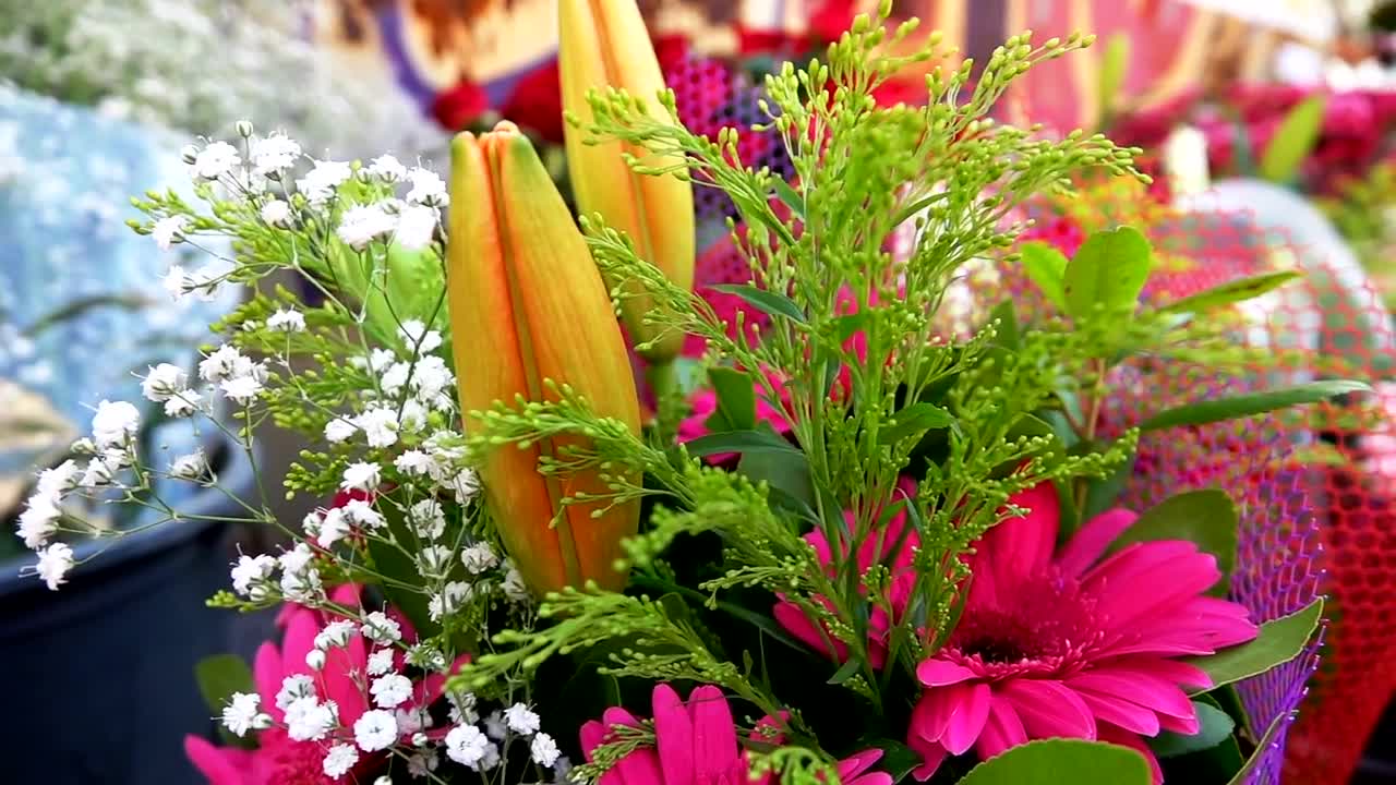 Stock Video Bouquets Of Assorted Flowers In A Flower Shop Live Wallpaper For PC